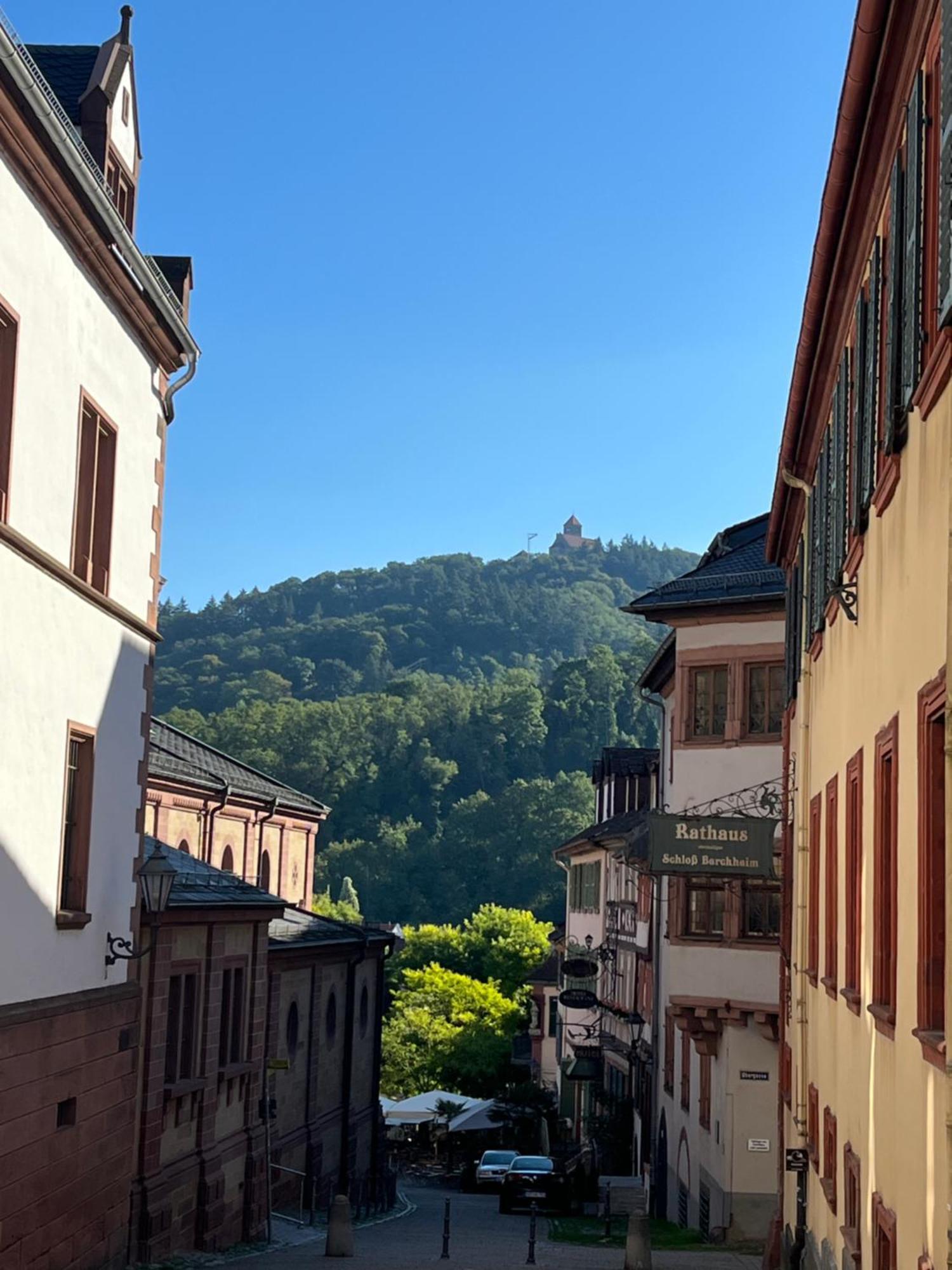 Ferienwohnung Burgenblilck Weinheim Exterior foto