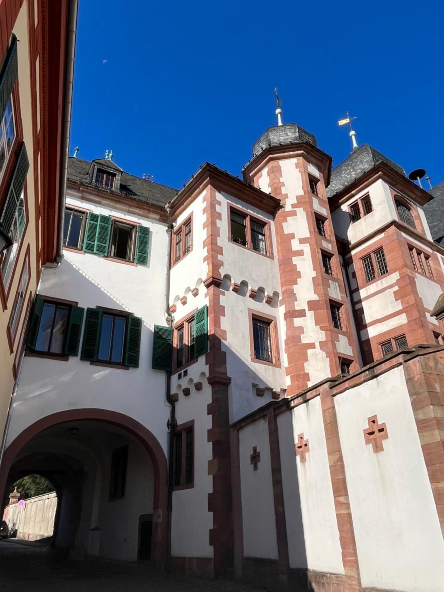 Ferienwohnung Burgenblilck Weinheim Exterior foto
